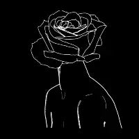 Living Rose - design