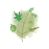 Multi-Leaf - design