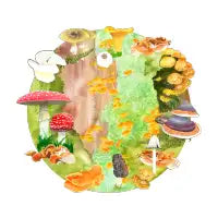 PNW Mushrooms Circle - design