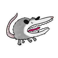 Screaming Possum | Sticker - design