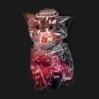 galaxy cat - design