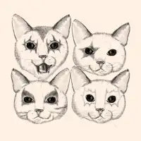 kiss cat - design