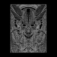 Fly - design