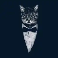 Mr Cat - design
