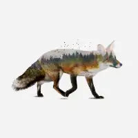 Red Fox - design