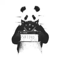 Bad Panda - design