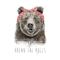 Break the rules - design