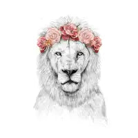 Festival lion - design