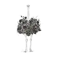 Floral ostrich - design