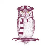 The aviator - design