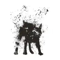 Wet dog - design