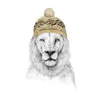 Winter lion - design