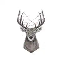 Xmas deer - design