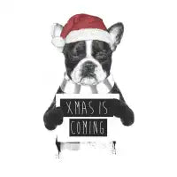 Xmas is coming - design