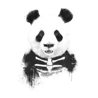 Zombie Panda - design