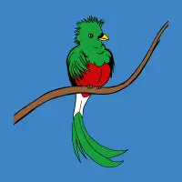 Quetzal - design