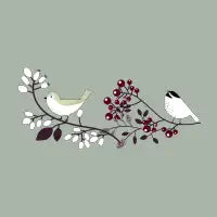 Winter Birds - design