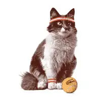Cat Tennis - design