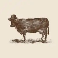 Cow Cow Nut - design