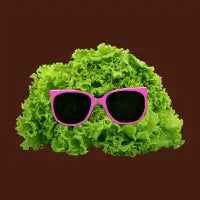 Mr. Salad - design