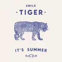 Smile Tiger - design