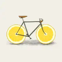 Zest - design