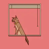 Marmalade - design