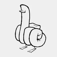What The Duck - design