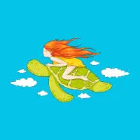 The Flying Turtle - design