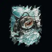 SHARK BAIT - design