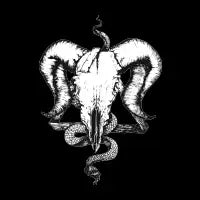 PARADOX - design