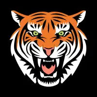 Beautiful Big Cat - design