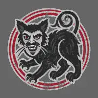 Vlad the Medieval Vampire Cat - design