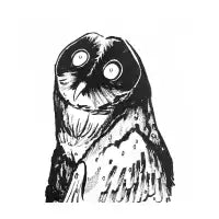 Hoot - design