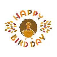 Happy Bird Day - design