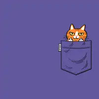 My pocket cheeky ginger cat - design