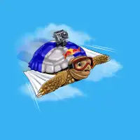 AT LAST I CAN FLY - design