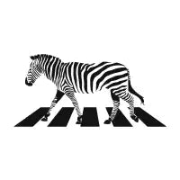 Zebra Crossing - design