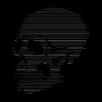 Skull Glitch - design
