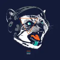 Stereocat - design
