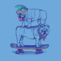 Double Dog Dare - design