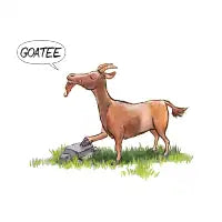 Goatee - design