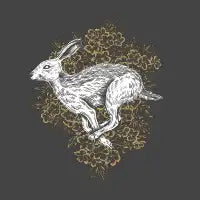 Hare & Hawthorn - design