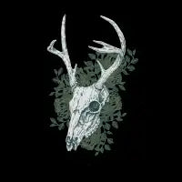 Prophecy (teal version) - design