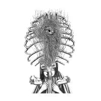 Transient - design