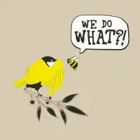 Birds & The Bees - design