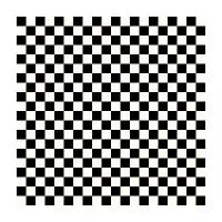 Black & Off White Plaid - design