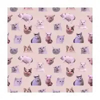 Cat Memes - design