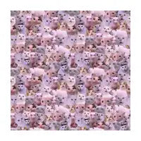 Cats Meme pattern - design