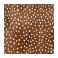 Fawn Fur Print - design